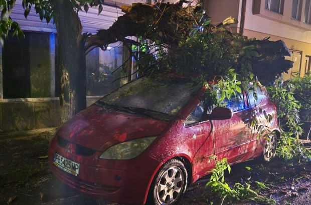 Дърво се срути върху автомобил, а второ падна върху кооперация в Пловдив